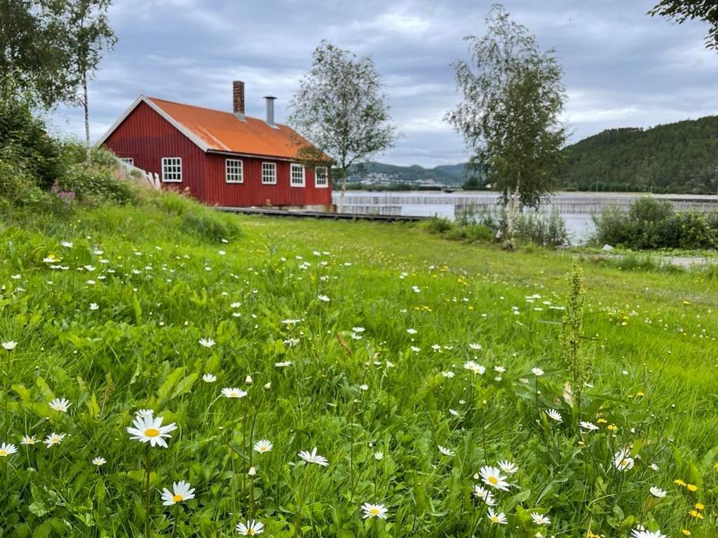 Ferienwohnung Stille Og Landlig, Men Sentrumsnaer Leilighet Namsos Exterior foto